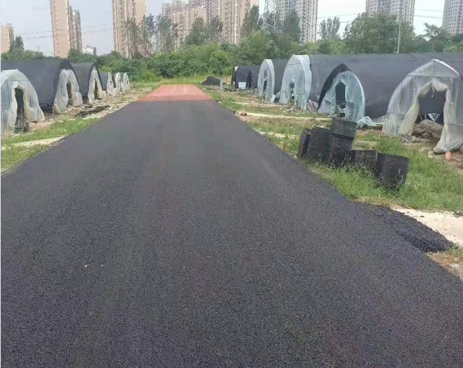 江苏宜兴复合式彩色透水路面